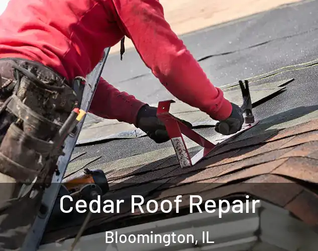  Cedar Roof Repair Bloomington, IL