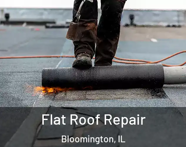  Flat Roof Repair Bloomington, IL