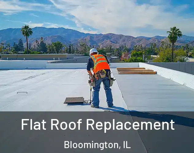  Flat Roof Replacement Bloomington, IL