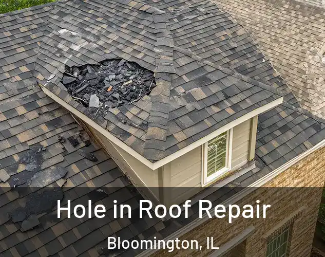  Hole in Roof Repair Bloomington, IL