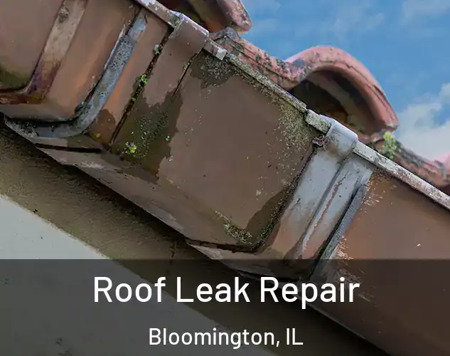  Roof Leak Repair Bloomington, IL