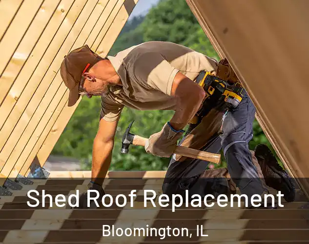  Shed Roof Replacement Bloomington, IL